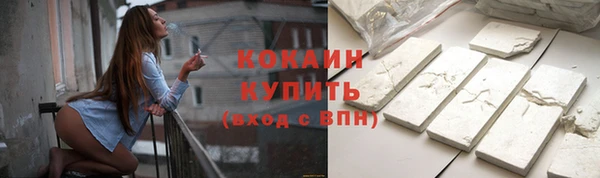 хмурый Абаза