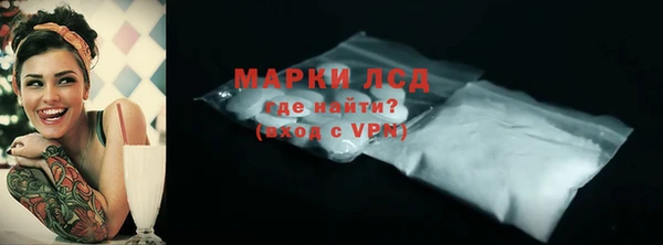 хмурый Абаза