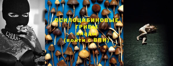 хмурый Абаза