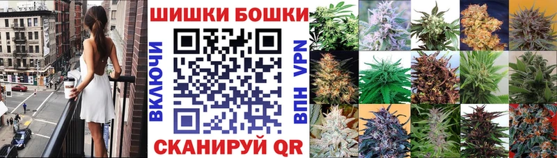 Бошки Шишки MAZAR Тында